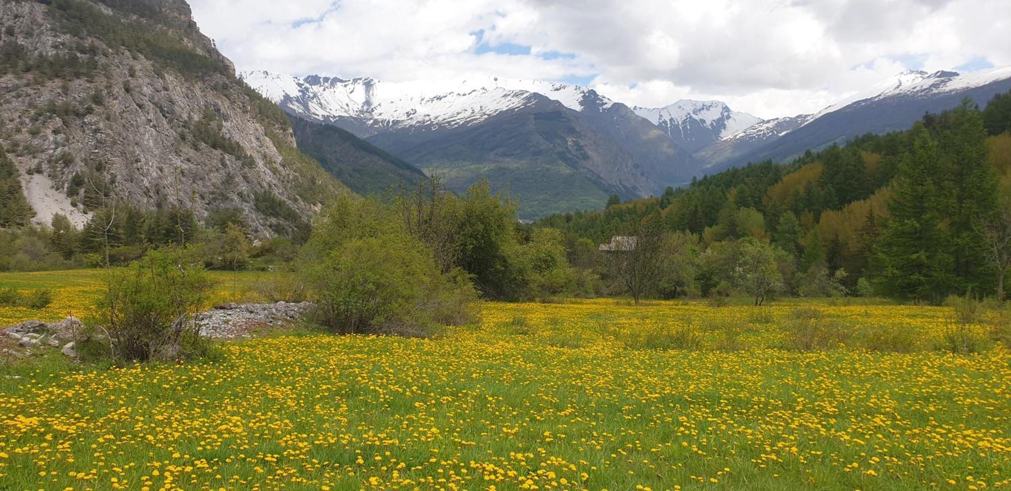 Casa Agnes Apartman Bardonecchia Kültér fotó